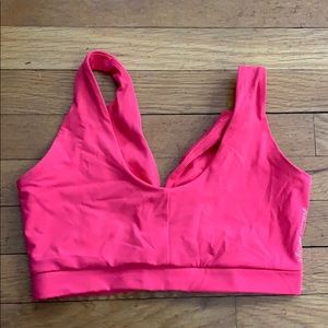 Whitney Simmons Red Sports Bra
